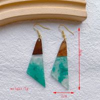 1 Pair Streetwear Simple Style Geometric Hollow Out Alloy Resin Wood Drop Earrings sku image 7