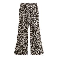 Holiday Daily Women's Streetwear Leopard Polyester Printing Pants Sets Pants Sets main image 4