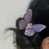 Style Vintage Papillon Alliage Pince À Cheveux 1 Pièce main image 4