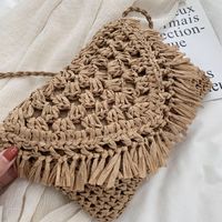 Femmes Petit Paille Couleur Unie Plage Tisser Fermeture Éclair Sac De Paille main image 1