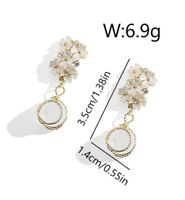 1 Pair Vintage Style Simple Style Flower Inlay Copper Zircon 18K Gold Plated Drop Earrings main image 2