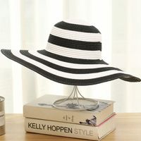 Women's Casual Simple Style Color Block Big Eaves Straw Hat sku image 3