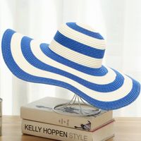 Women's Casual Simple Style Color Block Big Eaves Straw Hat main image 1