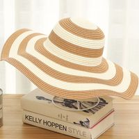 Women's Casual Simple Style Color Block Big Eaves Straw Hat sku image 4
