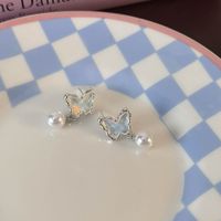 1 Pair Glam Shiny Butterfly Plating Alloy White Gold Plated Drop Earrings main image 8