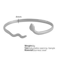 Titanium Steel IG Style Geometric Plating Bangle sku image 3
