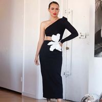Women's Regular Dress Sexy Oblique Collar Long Sleeve Solid Color Maxi Long Dress Holiday Daily main image 4