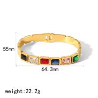 Stainless Steel 18K Gold Plated Casual Tropical Classic Style Geometric Polishing Inlay Zircon Bangle main image 2