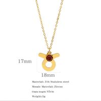 Simple Style Classic Style Constellation Stainless Steel Inlay Rhinestones Pendant Necklace 1 Piece sku image 23