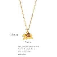 Simple Style Classic Style Constellation Stainless Steel Inlay Rhinestones Pendant Necklace 1 Piece sku image 13