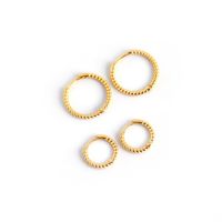 1 Pair Casual Hip-Hop Circle Round Plating Sterling Silver White Gold Plated Gold Plated Earrings main image 5
