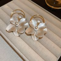 1 Pair Retro Simple Style Flower Inlay Alloy Pearl Drop Earrings main image 6