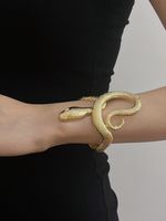 Rétro Serpent Alliage De Gros Bracelet main image 3