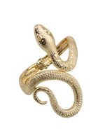 Rétro Serpent Alliage De Gros Bracelet main image 2
