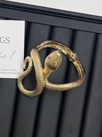Rétro Serpent Alliage De Gros Bracelet sku image 1