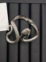 Rétro Serpent Alliage De Gros Bracelet sku image 2