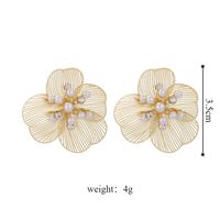 1 Paire Style Vintage Fleur Alliage Boucles D'Oreilles main image 2