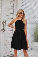 Women's Chiffon Dress Elegant Halter Neck Ruched Sleeveless Solid Color Knee-Length Daily main image 2