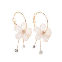 1 Pair Elegant Simple Style Flower Plating Copper Silver Plated Drop Earrings main image 3