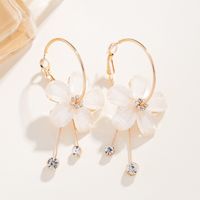 1 Pair Elegant Simple Style Flower Plating Copper Silver Plated Drop Earrings sku image 1