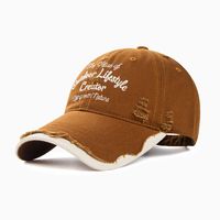 Unisex Casual Embroidery Retro Embroidery Curved Eaves Baseball Cap main image 5