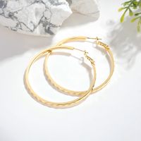 1 Pair Simple Style Round Copper 18K Gold Plated Hoop Earrings main image 3
