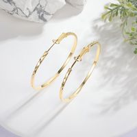 1 Pair Simple Style Round Copper 18K Gold Plated Hoop Earrings main image 2