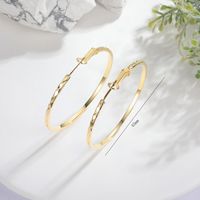 1 Pair Simple Style Round Copper 18K Gold Plated Hoop Earrings sku image 2