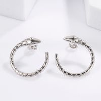 1 Pair Cute Sweet Circle Snake Butterfly Plating Inlay Sterling Silver Zircon White Gold Plated Ear Studs main image 5