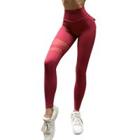 Simple Style Sports Solid Color Nylon Active Bottoms Leggings main image 4