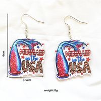 1 Pair Simple Style Classic Style American Flag Printing Arylic Metal Drop Earrings main image 6