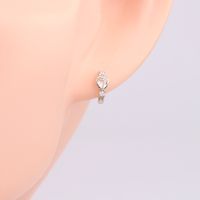 1 Pair Simple Style Classic Style Heart Shape Inlay Sterling Silver Zircon Earrings main image 8