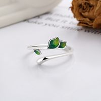 Sterling Silver Simple Style Leaf Open Rings main image 5