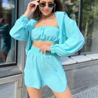 Daily Women's Simple Style Solid Color Spandex Polyester Zipper Shorts Sets Shorts Sets sku image 8