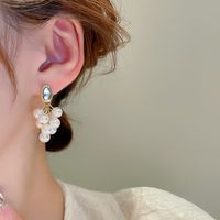 1 Pair Elegant Lady Geometric Alloy Drop Earrings main image 4
