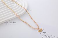Stainless Steel Moonstone Shell 18K Gold Plated Simple Style Classic Style Color Block Beaded Plating Necklace sku image 2