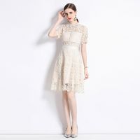 Women's Regular Dress Streetwear Round Neck Lace Short Sleeve Solid Color Knee-Length Holiday Daily main image 3
