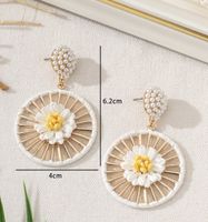 1 Pair Sweet Flower Imitation Pearl Raffia Drop Earrings main image 2