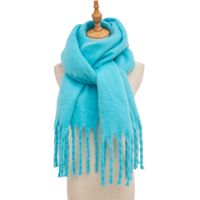 Women's Simple Style Solid Color Polyester Scarf sku image 29