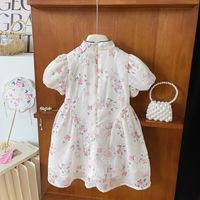 Chinoiserie Classical Ditsy Floral Embroidery Lace Bowknot Polyester Girls Dresses main image 2