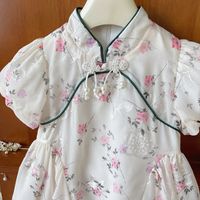 Chinoiserie Classical Ditsy Floral Embroidery Lace Bowknot Polyester Girls Dresses main image 3