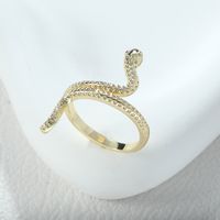 Casual Formal Snake Alloy Asymmetrical Women's Open Rings sku image 1