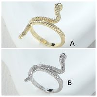Casual Formal Snake Alloy Asymmetrical Women's Open Rings main image 2