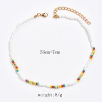 Wholesale Jewelry Casual Simple Style Geometric Beaded Seed Bead Plating Necklace main image 7