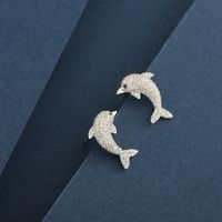 1 Paar Einfacher Stil Klassischer Stil Delfin Überzug Inlay Sterling Silber Zirkon 14 Karat Vergoldet Ohrstecker main image 3