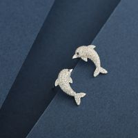 1 Pair Simple Style Classic Style Dolphin Plating Inlay Sterling Silver Zircon 14K Gold Plated Ear Studs main image 3