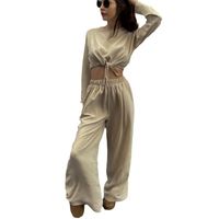 Daily Women's Simple Style Solid Color Spandex Polyester Pants Sets Pants Sets main image 2