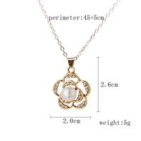Simple Style Classic Style Rose Flower Petal Alloy Plating Inlay Rhinestones Gold Plated Silver Plated Women's Earrings Necklace main image 5