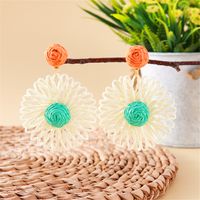 1 Pair Simple Style Classic Style Color Block Braid Straw Drop Earrings sku image 3