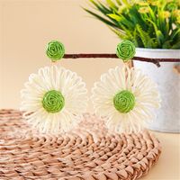 1 Pair Simple Style Classic Style Color Block Braid Straw Drop Earrings main image 3